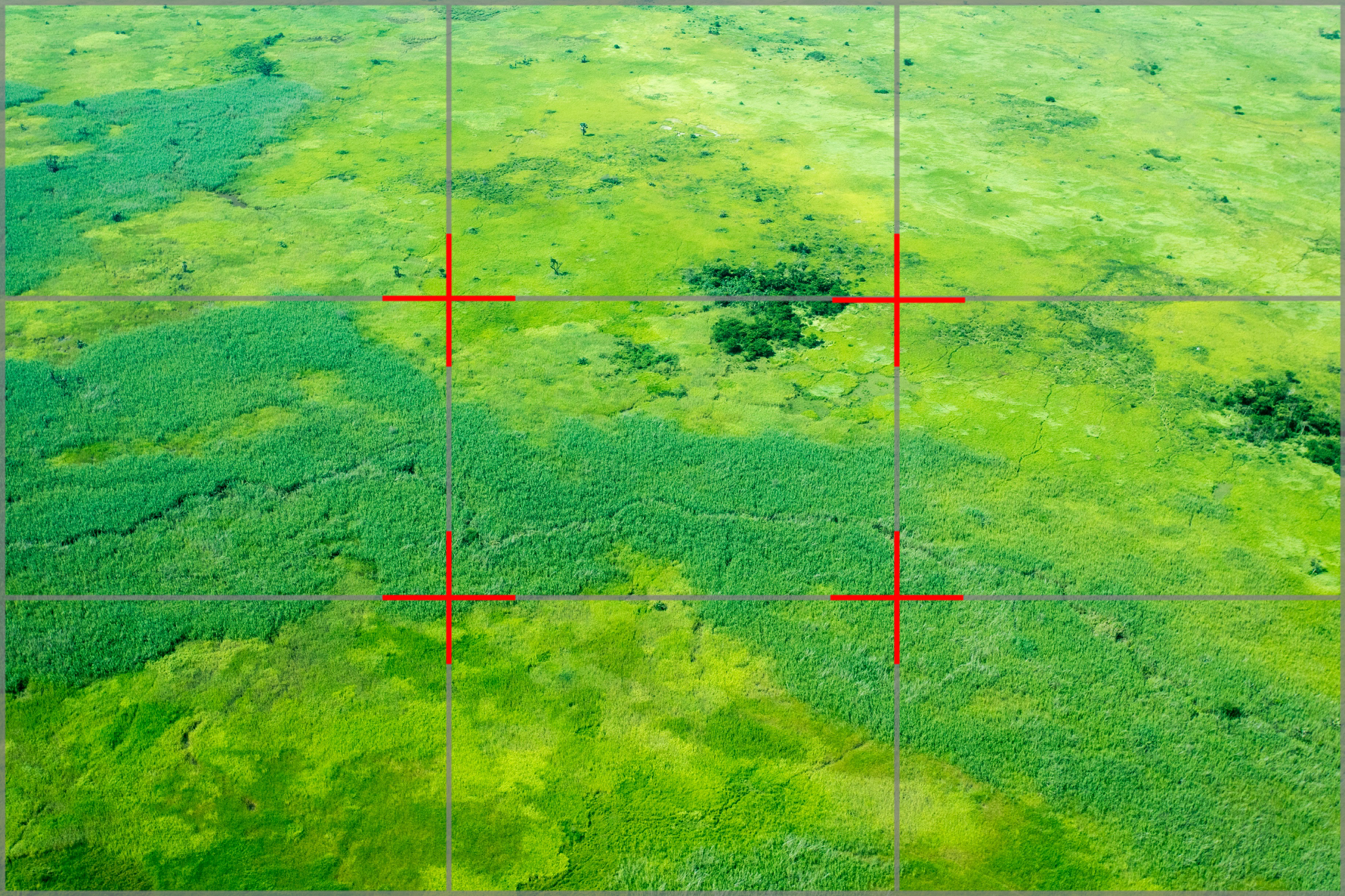 an aerial photo of a rain forest with rule of thirds overlayed